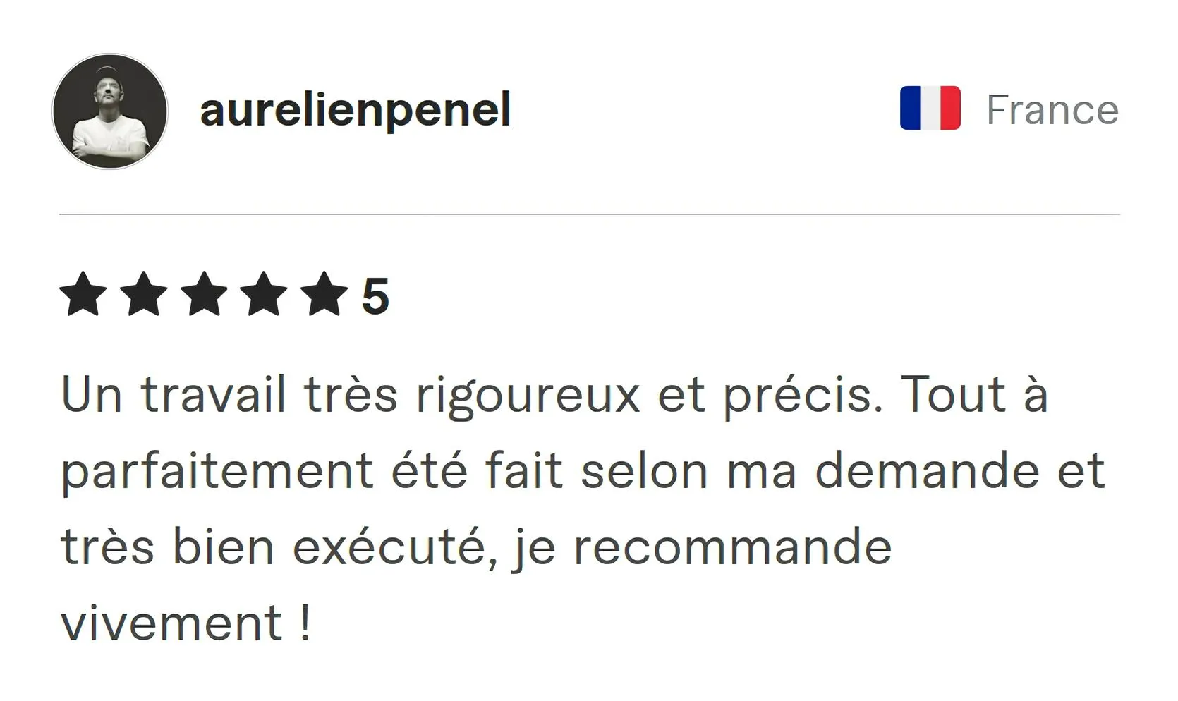 Screenshot of Fiverr review from Aurelien Penel