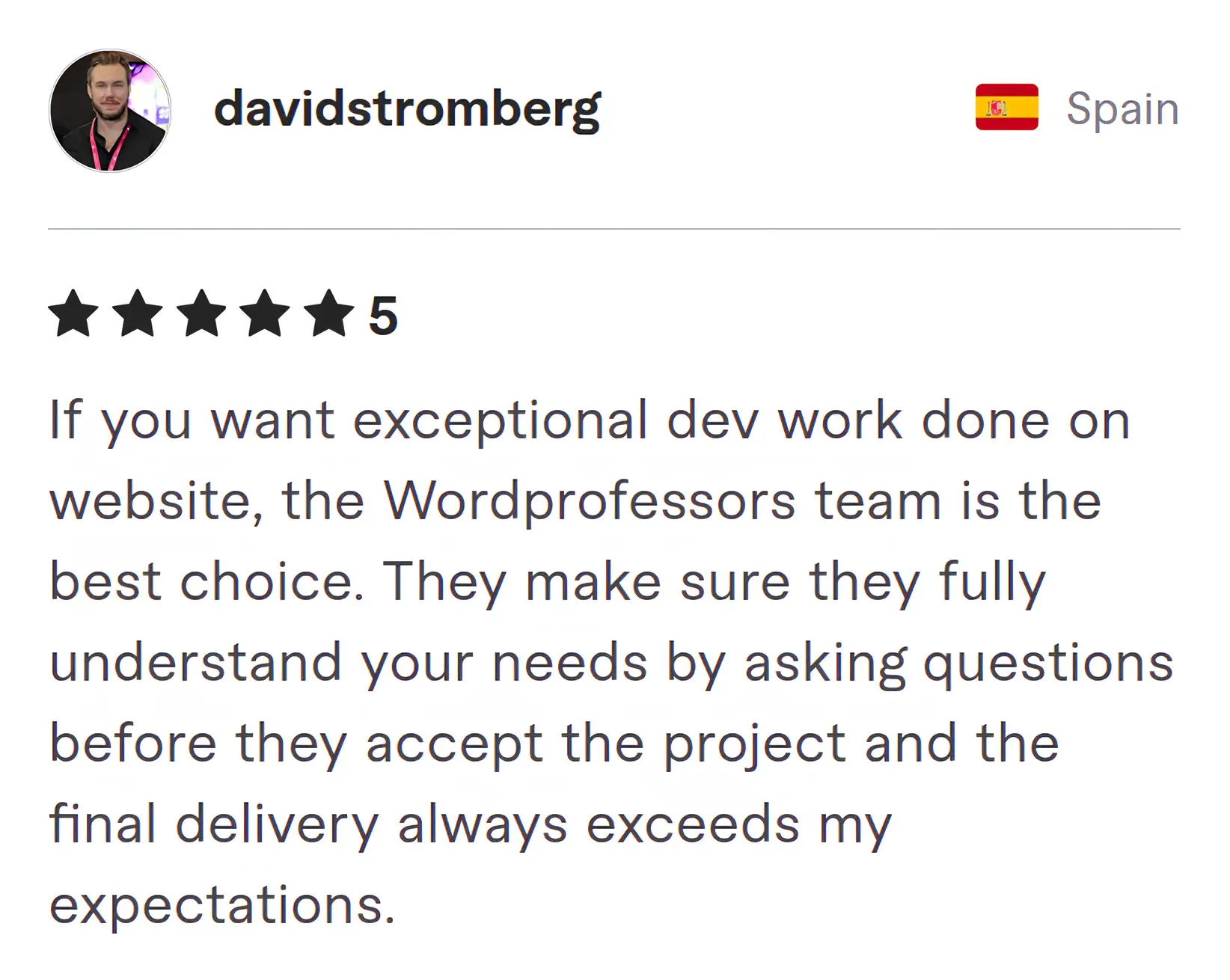 Screenshot of Fiverr review from David Stromberg