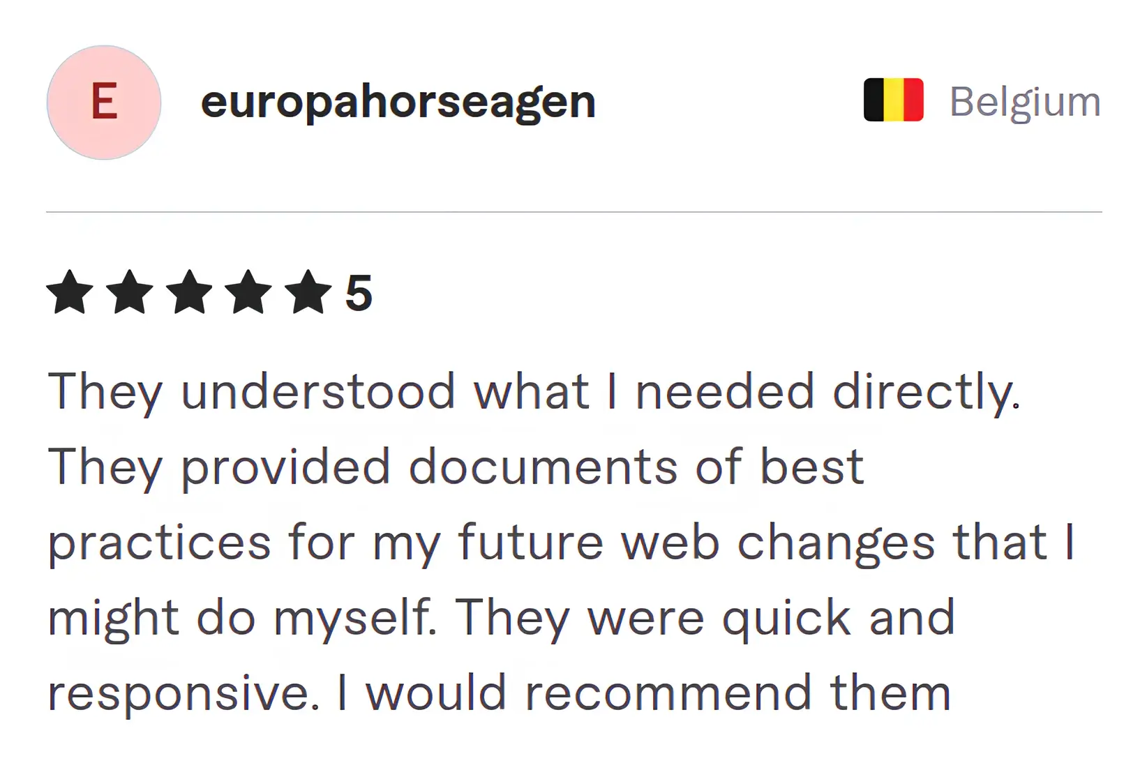 Screenshot of Fiverr review from Europahorseagen