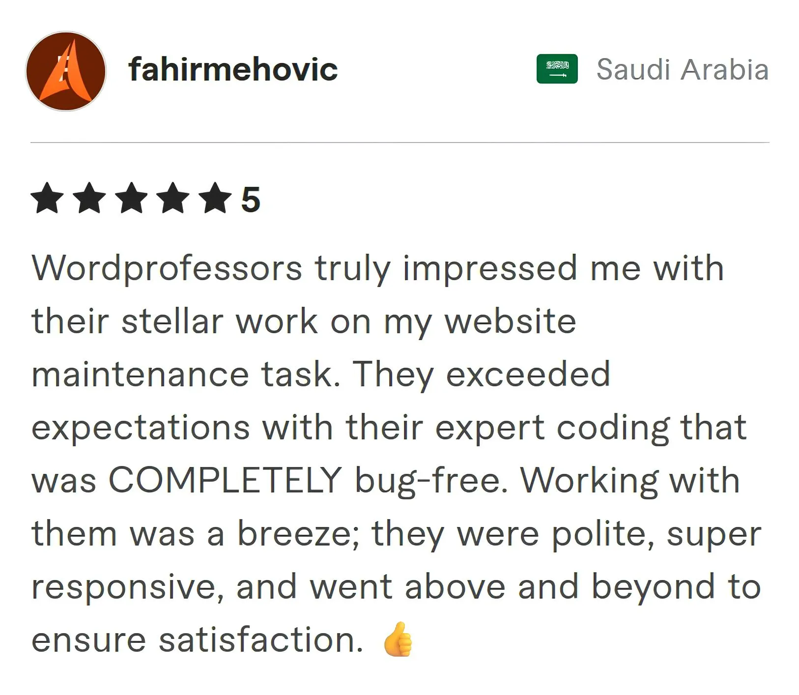 Screenshot of Fiverr review from Fahir Mehovic