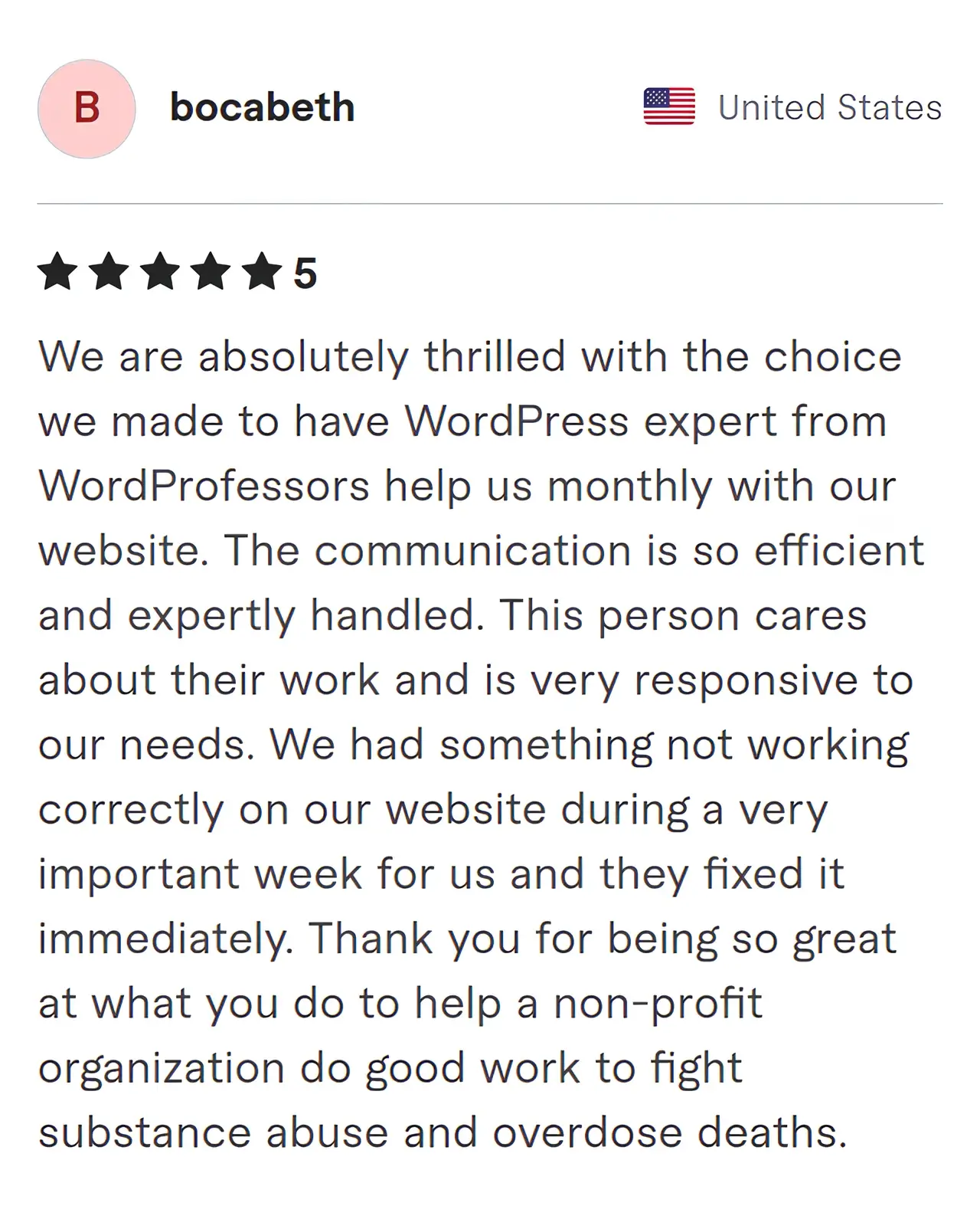 Screenshot of Fiverr review from Bocabeth