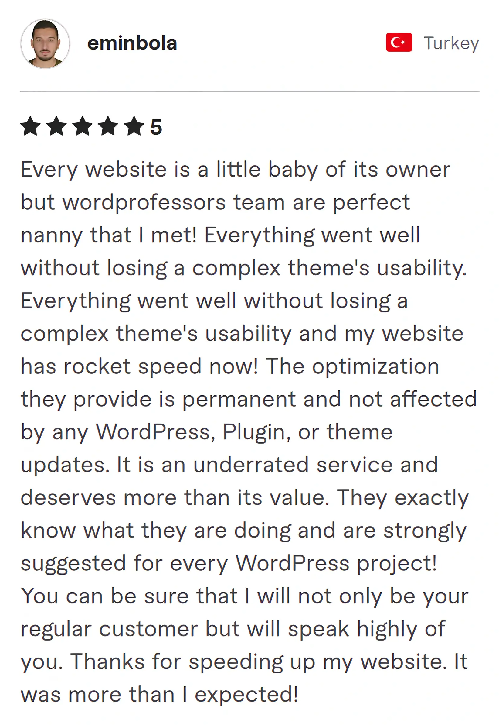 Screenshot of Fiverr review from Eminbola