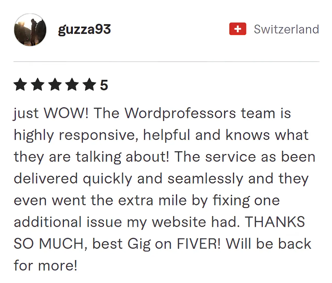 Screenshot of Fiverr review from Guzza93