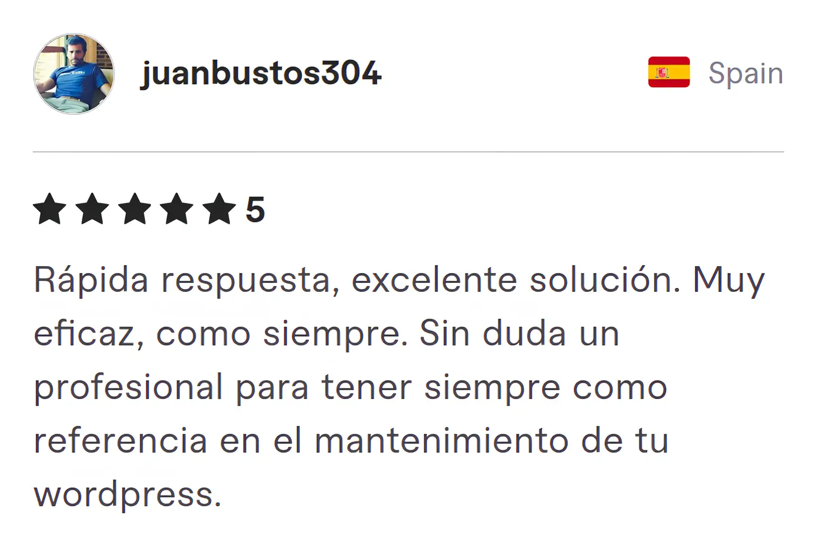 Screenshot of Fiverr review from Juanbustos304