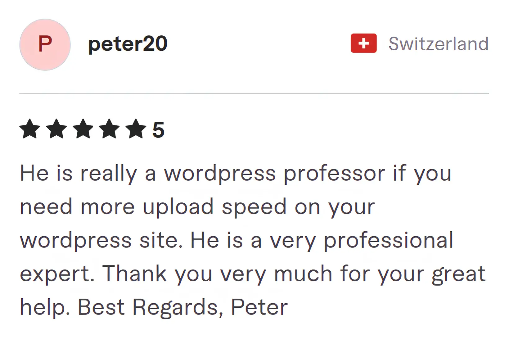 Screenshot of Fiverr review from Peter20