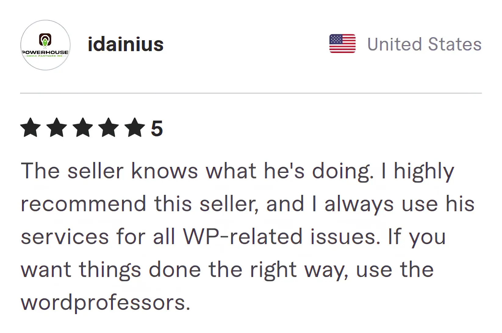 Screenshot of Fiverr review from Idainius