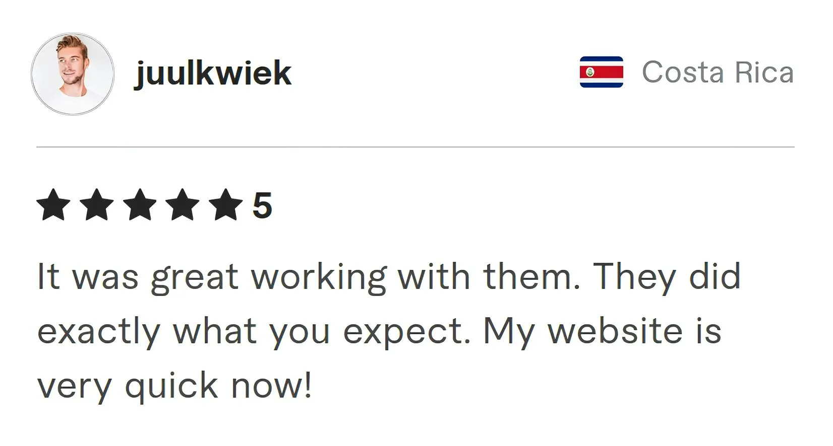 Screenshot of Fiverr review from Juulkwiek