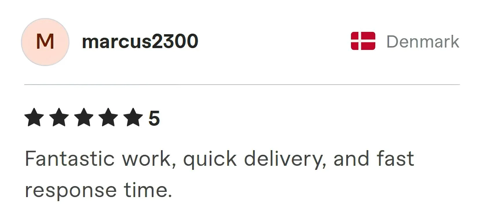 Screenshot of Fiverr review from Marcus2300