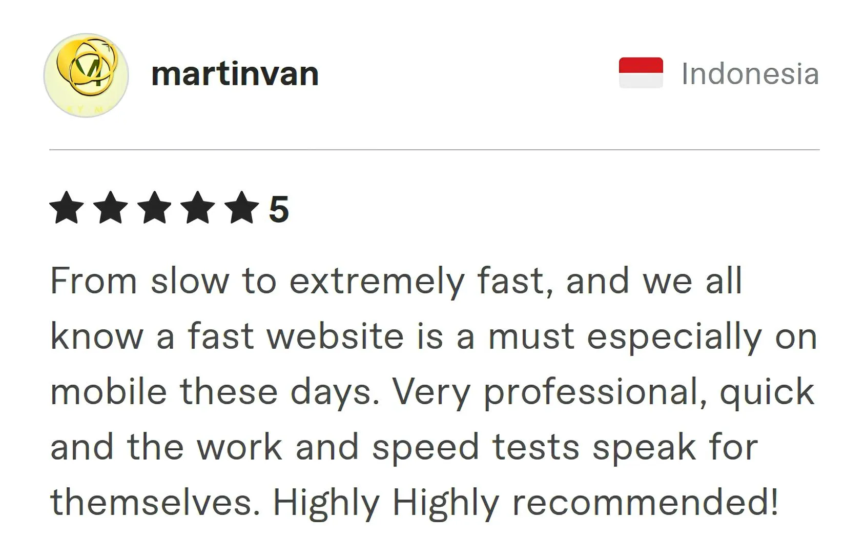 Screenshot of Fiverr review from Martinvan