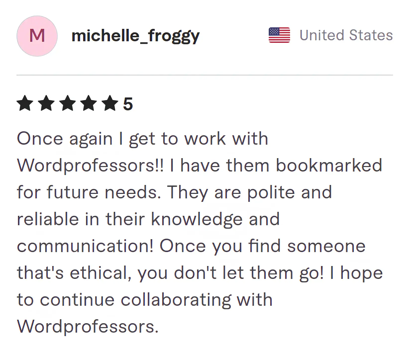 Screenshot of Fiverr review from Michelle Froggy