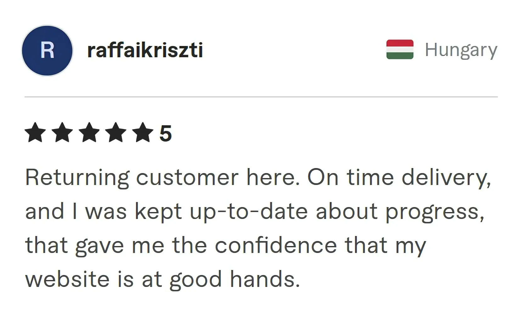 Screenshot of Fiverr review from Raffaikriszti