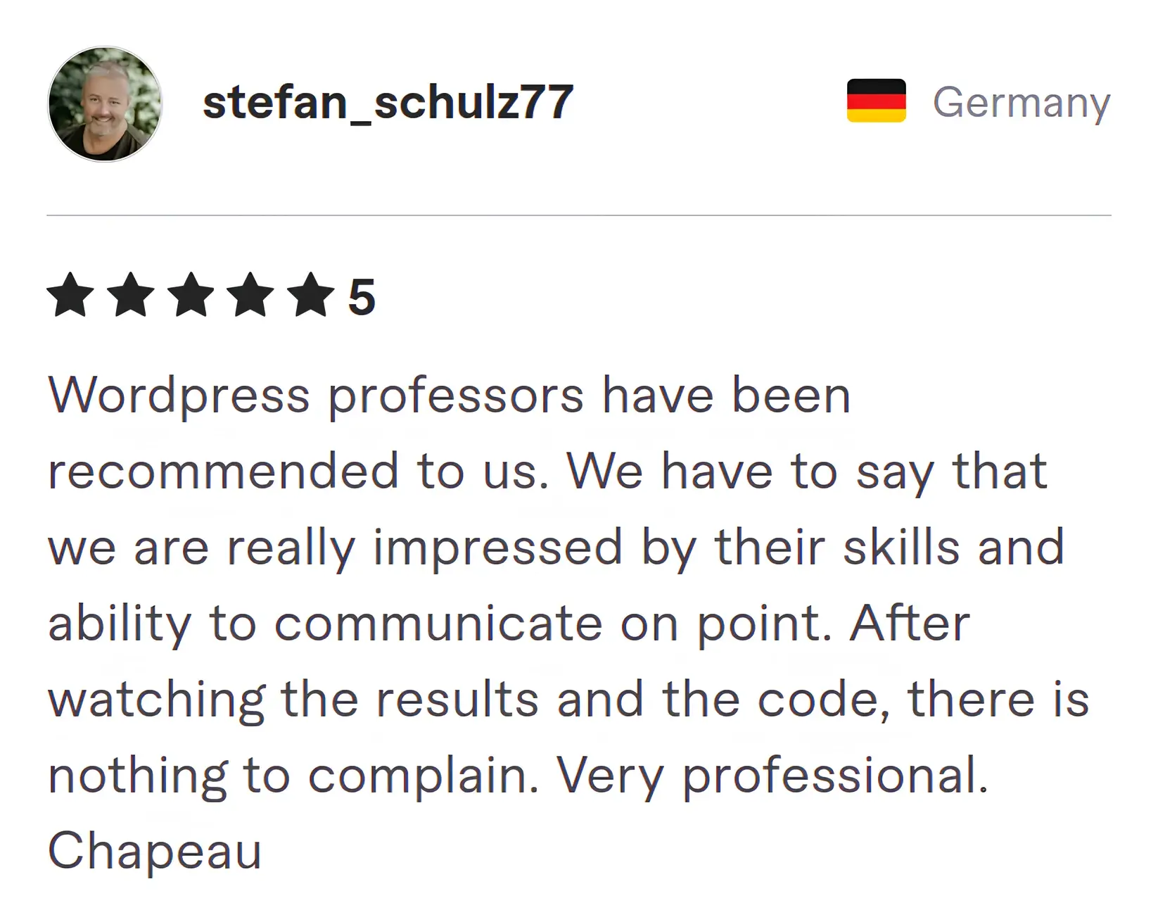 Screenshot of Fiverr review from Stefan Schulz77