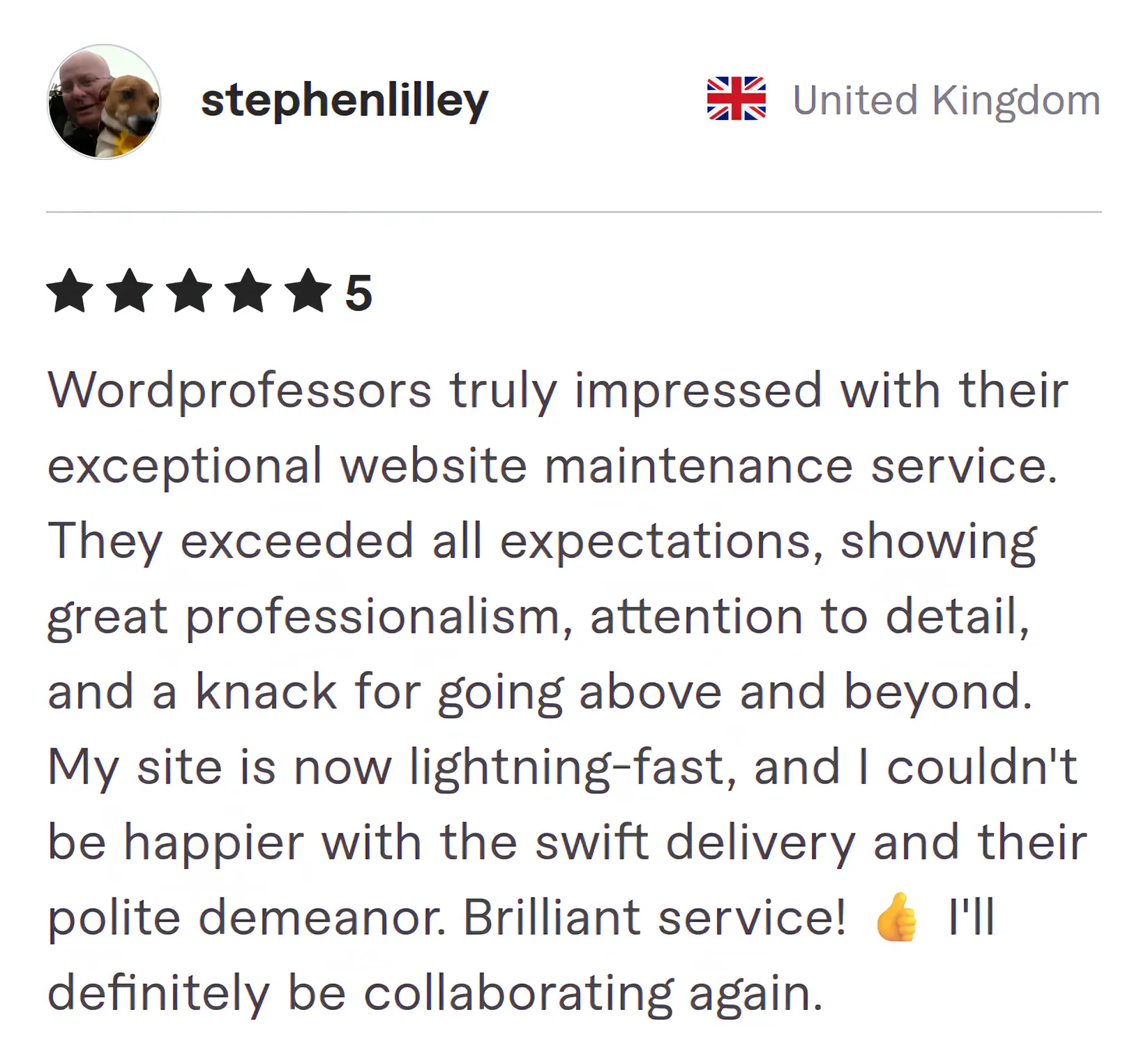 Screenshot of Fiverr review from Stephen Lilley