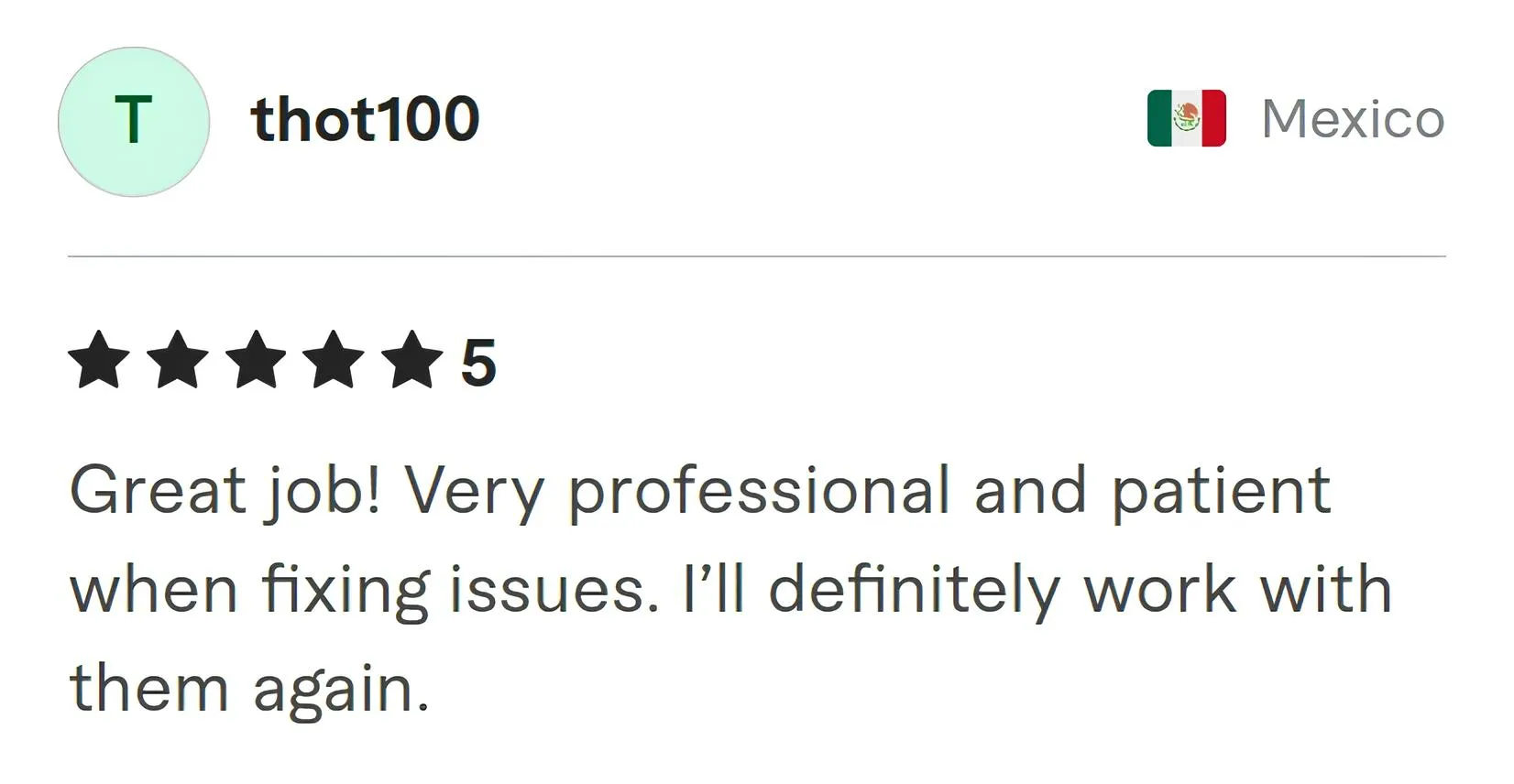 Screenshot of Fiverr review from Thot100