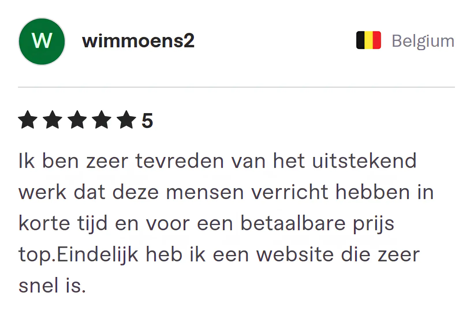 Screenshot of Fiverr review from Wimmoens2
